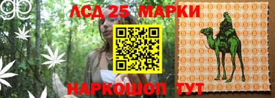 mdma Кингисепп