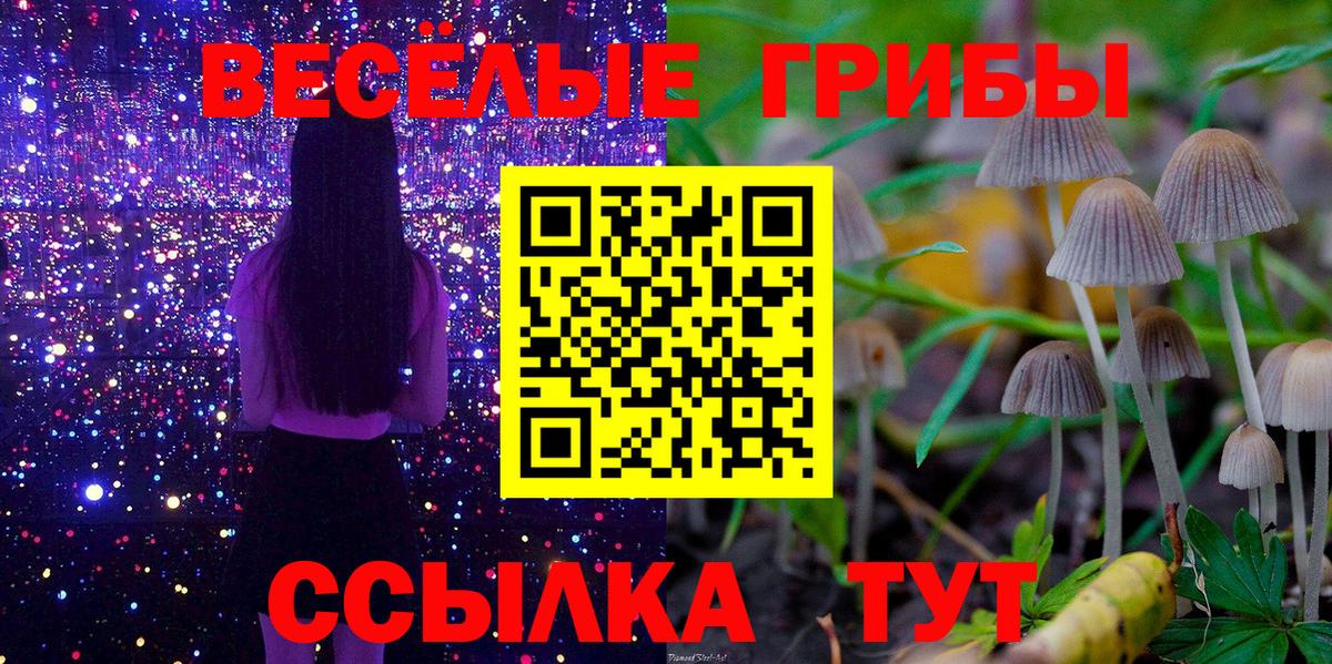 хочу наркоту  Вход с VPN  Псилоцибиновые грибы Magic Shrooms  Королёв  Псилоцибиновые грибы MAGIC MUSHROOMS 